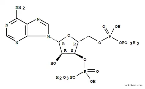 아데노신 3'- 디 포스페이트 5'- 디 포스페이트