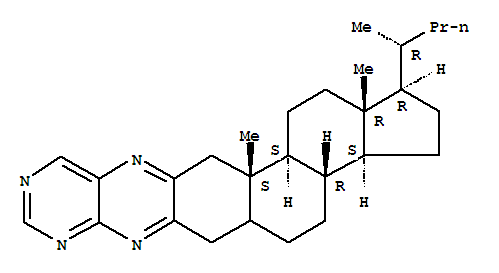 Click to see the large picture