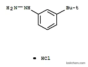 1-[3-(TERT-부틸)페닐]하이드라진염화물