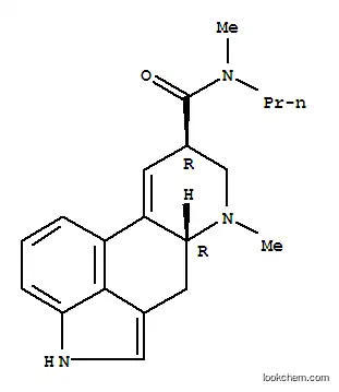 램프