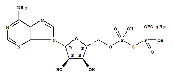 adenosine5'-triphosphate