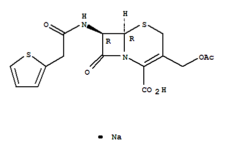 Cephalothin