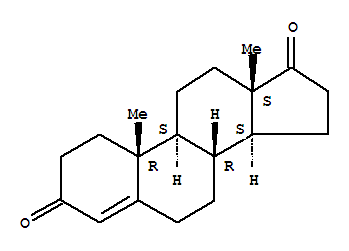 4-Androstenedione