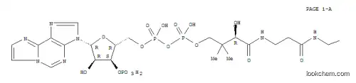 팔미토일-(1,N(6))-에테노코엔자임 A