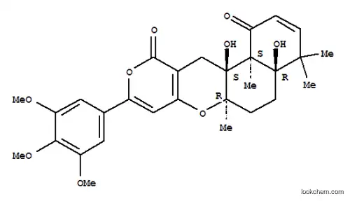 테리 트렘 B