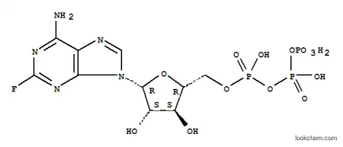 2-플루오로-araATP