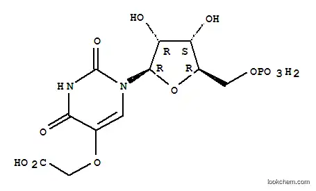 우리딘-5-옥시아세트산 5'-모노포스페이트