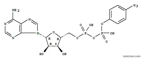 베타-(4-아지도페닐)아데노신 5'-디포스페이트