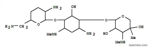 6-デスメチル-2-メチルサガミシン