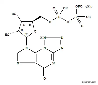테트라졸로-옥소-퓨린 뉴클레오시드 삼인산염