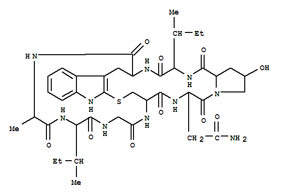 Click to see the large picture