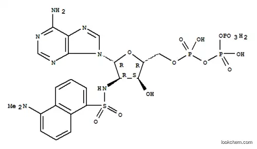 단실아미노 데옥시-ATP