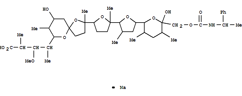 Click to see the large picture