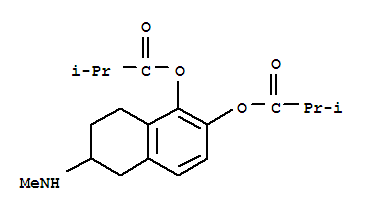 Click to see the large picture