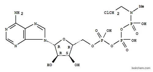 ATP 감마-(N-(2-클로로에틸)-N-메틸)아미드