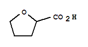 2-Tetrahydrofuroicacid