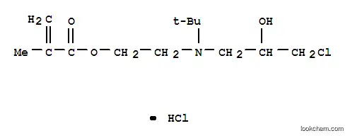 2-[(tert-부틸)(3-클로로-2-히드록시프로필)아미노]에틸 메타크릴레이트 염산염