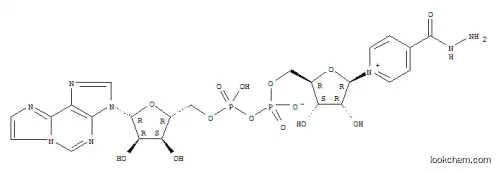 4-히드라지노카르보닐피리딘-1,N(6)-에테노아데닌 디뉴클레오티드