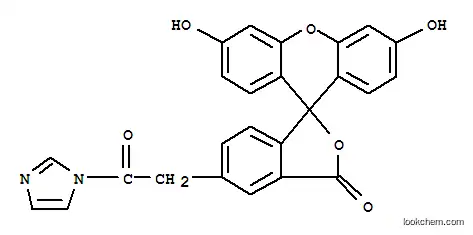 플루오레세인 n-아세틸이미다졸