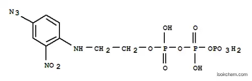 2-((4-아지도-2-니트로페닐)아미노)에틸 트리포스페이트