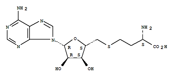 S-Adenosyl-L-homocysteine