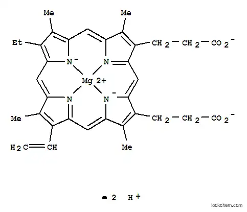 마그네슘 모노비닐프로토포르피린