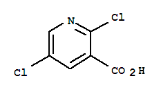 2,5-Dichloronicotinicacid