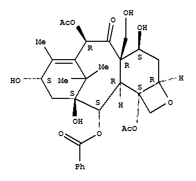 19-HydroxybaccatinIII