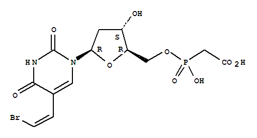 Click to see the large picture