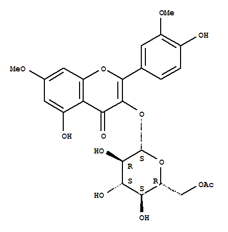 Click to see the large picture