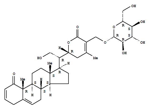 Click to see the large picture