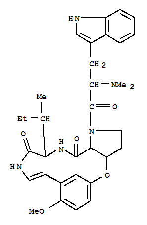 Click to see the large picture