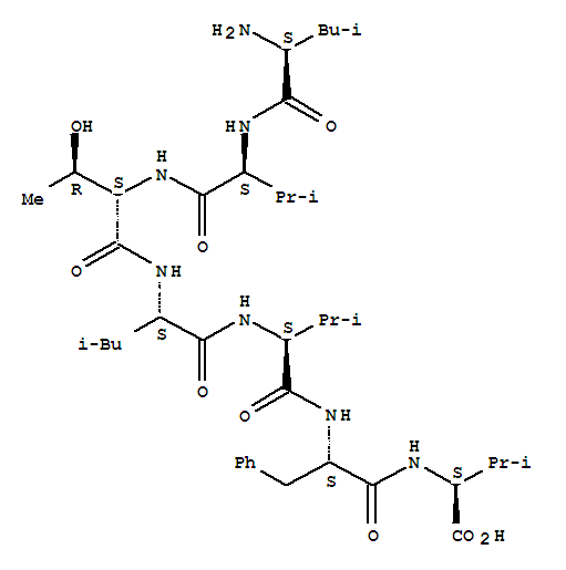 Click to see the large picture