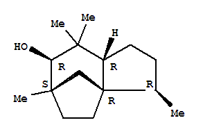 Click to see the large picture