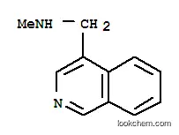 N-메틸-(이소퀴놀린-4-일메틸)아민