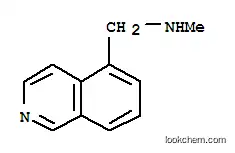 5-이소퀴놀린메탄아민,N-메틸-(9CI)