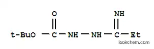 히드라진카르복실산, 2-(1-이미노프로필)-, 1,1-디메틸에틸 에스테르(9CI)