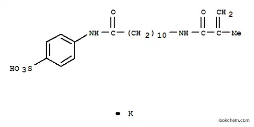 칼륨 4-(11-메타크릴아미도운데칸아미도)벤젠술폰산염