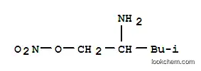 1-펜탄올, 2-아미노-4-메틸-, 질산염(에스테르)(9CI)