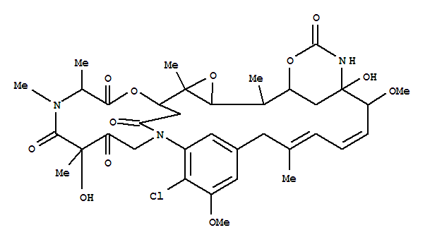 Click to see the large picture