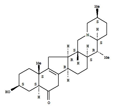 Click to see the large picture