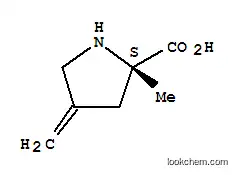 L- 프롤린, 2- 메틸 -4- 메틸렌-(9CI)
