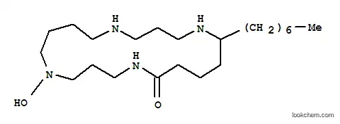 19-헵틸-10-하이드록시-1,5,10,14-테트라아자사이클로노나데칸-15-온