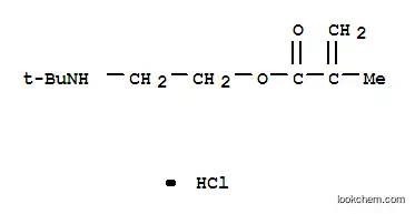2-[(1,1-디메틸에틸)아미노]에틸 메타크릴레이트 염산염