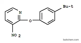 2- [4- (TERT-BUTYL) PHENOXY] -3- 니트로 피리딘