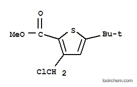 메틸 5-(TERT-부틸)-3-(클로로메틸)티오펜-2-카르복실레이트