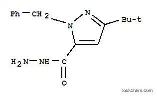 1-벤질-3-(TERT-부틸)-1H-피라졸-5-탄수화물