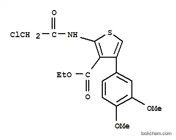2-(2-클로로-아세틸아미노)-4-(3,4-다이메톡시-페닐)-티오펜-3-카르복실산 에틸 에스테르