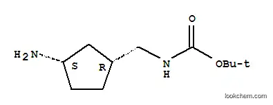 카르밤산, [[(1R,3S)-3-아미노시클로펜틸]메틸]-, 1,1-디메틸에틸 에스테르,
