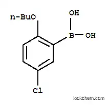 2- 부 톡시 -5- 클로로 페닐 붕산